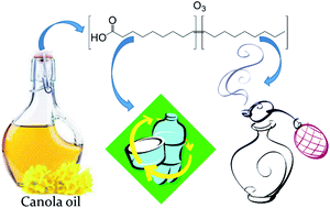 Graphical abstract: The production of biobased nonanal by ozonolysis of fatty acids