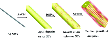 Graphical abstract: Highly surface-roughened caterpillar-like Au/Ag nanotubes for sensitive and reproducible substrates for surface enhanced Raman spectroscopy