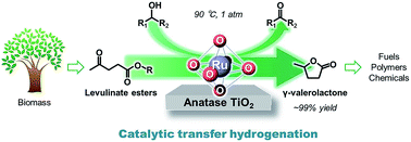 Graphical abstract: Catalytic transfer hydrogenation of levulinate esters to γ-valerolactone over supported ruthenium hydroxide catalysts