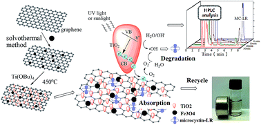 Graphical abstract: Preparation and characterization of TiO2–Graphene@Fe3O4 magnetic composite and its application in the removal of trace amounts of microcystin-LR