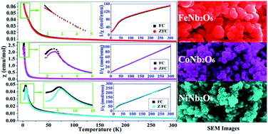Graphical abstract: Synthesis and magnetic properties of MNb2O6 (M = Fe, Co, Ni) nanoparticles