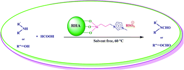 Graphical abstract: Brönsted acidic ionic liquid supported on rice husk ash (RHA–[pmim]HSO4): a highly efficient and reusable catalyst for the formylation of amines and alcohols