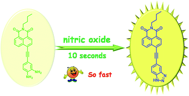 Graphical abstract: A highly selective fluorescent probe for fast detection of nitric oxide in aqueous solution