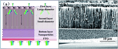 Graphical abstract: Design of multi-layered TiO2 nanotube/nanoparticle hybrid structure for enhanced efficiency in dye-sensitized solar cells