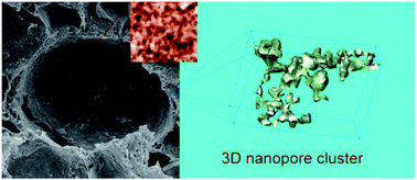 Graphical abstract: 3D nanostructural analysis of silk fibroin and recombinant spidroin 1 scaffolds by scanning probe nanotomography
