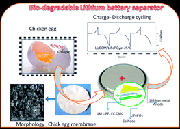 Graphical abstract: Natural, biodegradable and flexible egg shell membranes as separators for lithium-ion batteries