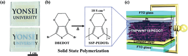 Graphical abstract: TiO2 nanoparticulate-wire hybrids for highly efficient solid-state dye-sensitized solar cells using SSP-PEDOTs