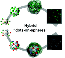 Graphical abstract: Fabrication, biofunctionalization, and simultaneous multicolor emission of hybrid “dots-on-spheres” structures for specific targeted imaging of cancer cells