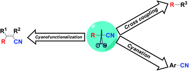 Graphical abstract: Recent advances in transition-metal-catalyzed C–CN bond activations