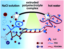 Graphical abstract: Tough strained fibers of a polyelectrolyte complex: pretensioned polymers