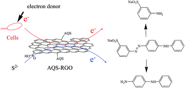 Graphical abstract: A novel quinone/reduced graphene oxide composite as a solid-phase redox mediator for chemical and biological Acid Yellow 36 reduction