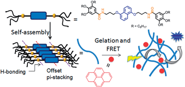 Graphical abstract: Hydrogen-bonding driven luminescent assembly and efficient Förster Resonance Energy Transfer (FRET) in a dialkoxynaphthalene-based organogel