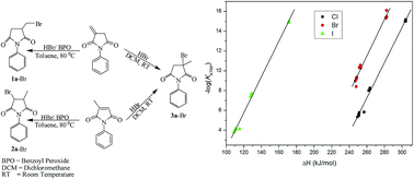 Graphical abstract: Synthesis, characterization, and computational study of potential itaconimide-based initiators for atom transfer radical polymerization