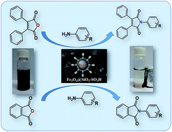Graphical abstract: Magnetic nanocatalyst for the synthesis of maleimide and phthalimide derivatives