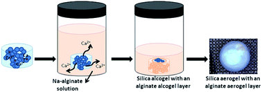 Graphical abstract: A novel hybrid material: an inorganic silica aerogel core encapsulated with a tunable organic alginate aerogel layer