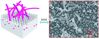 Graphical abstract: Segmented polymer nanowires and nanorods by one-step template wetting with a hyperbranched polymer and linear polymer blend