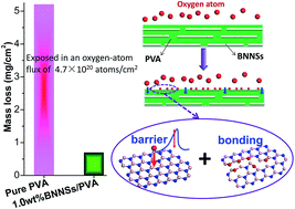 Graphical abstract: Size-selected boron nitride nanosheets as oxygen-atom corrosion resistant fillers