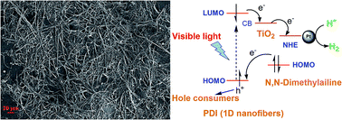 Graphical abstract: 1D nanofiber composites of perylene diimides for visible-light-driven hydrogen evolution from water