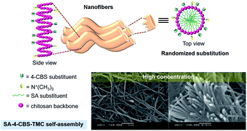Graphical abstract: Self-assembly of mucoadhesive nanofibers