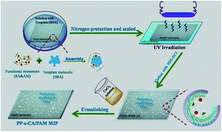 Graphical abstract: Imprinting of bovine serum albumin in a nonwoven polypropylene membrane supported polyacrylamide/calcium alginate interpenetrating polymer network hydrogel