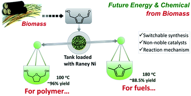 Graphical abstract: Switchable synthesis of 2,5-dimethylfuran and 2,5-dihydroxymethyltetrahydrofuran from 5-hydroxymethylfurfural over Raney Ni catalyst
