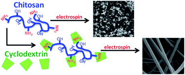 Graphical abstract: Cyclodextrin facilitated electrospun chitosan nanofibers