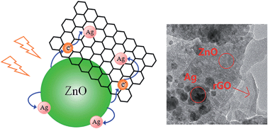 Graphical abstract: Rapid synthesis of a flower-like ZnO/rGO/Ag micro/nano-composite with enhanced photocatalytic performance by a one-step microwave method