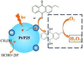 Graphical abstract: Photocatalytically green synthesis of H2O2 using 2-ethyl-9,10-anthraquinone as an electron condenser