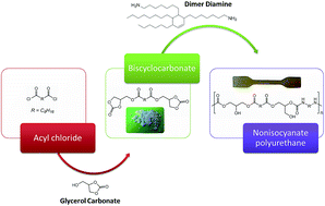 Graphical abstract: Original biobased nonisocyanate polyurethanes: solvent- and catalyst-free synthesis, thermal properties and rheological behaviour