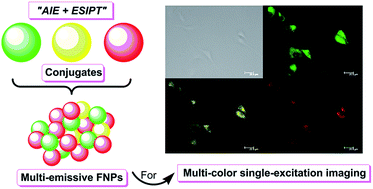 Graphical abstract: Multi-color cell imaging under identical excitation conditions with salicylideneaniline analogue-based fluorescent nanoparticles