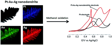 Graphical abstract: Forest of Pt–Au–Ag tri-metallic nanodendrites as an efficient electrocatalyst for methanol oxidation reaction