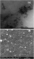 Graphical abstract: Synthesis, characterization and photocatalytic activity of Ag–TiO2 nanoparticulate film