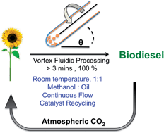 Graphical abstract: Continuous flow vortex fluidic production of biodiesel