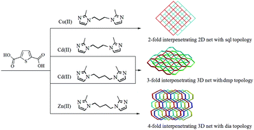 Graphical abstract: Four d10 metal coordination polymers based on bis(2-methyl imidazole) spacers: syntheses, interpenetrating structures and photoluminescence properties