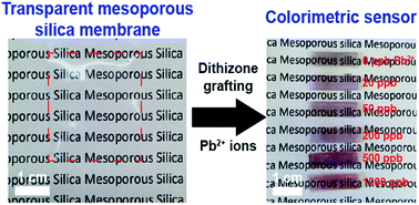 Graphical abstract: Robust transparent mesoporous silica membranes as matrices for colorimetric sensors