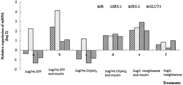 Graphical abstract: Effect of glucose tolerance factor (GTF) from high chromium yeast on glucose metabolism in insulin-resistant 3T3-L1 adipocytes