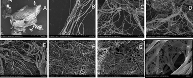 Graphical abstract: Studies on the physico-chemical characteristics of collagen–pectin composites