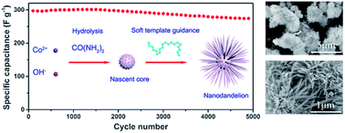 Graphical abstract: Dandelion-like cobalt hydroxide nanostructures: morphological evolution, soft template effect and supercapacitive application