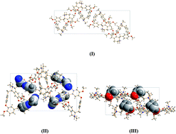 Graphical abstract: Synthesis, crystal structures and phase transformation of the new solid-state forms of tetrandrine