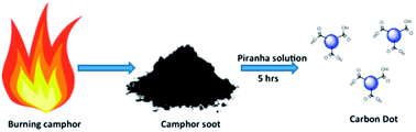 Graphical abstract: Controllable synthesis of biosourced blue-green fluorescent carbon dots from camphor for the detection of heavy metal ions in water