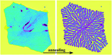 Graphical abstract: Annealing-induced periodic patterns in solution grown polymer single crystals