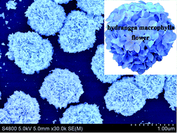 Graphical abstract: Electrochemical fabrication of Hydrangea macrophylla flower-like Pt hierarchical nanostructures and their properties for methanol electrooxidation
