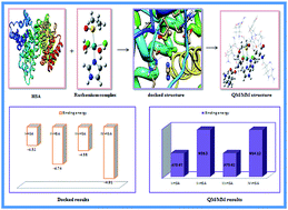 Graphical abstract: Interactions of the aquated forms of ruthenium(iii) anticancer drugs with protein: a detailed molecular docking and QM/MM investigation