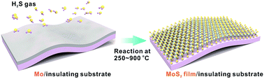 Graphical abstract: Direct growth of molybdenum disulfide on arbitrary insulating surfaces by chemical vapor deposition