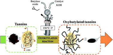 Graphical abstract: Synthesis and characterization of fully biobased aromatic polyols – oxybutylation of condensed tannins towards new macromolecular architectures