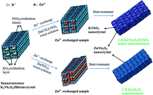 Graphical abstract: Topotactic synthesis and photocatalytic performance of one-dimensional ZnNb2O6 nanostructures and one-dimensional ZnNb2O6/KNbO3 hetero-nanostructures