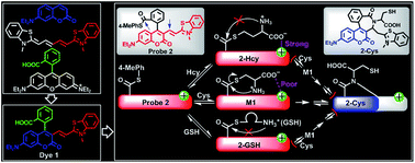 Graphical abstract: A carboxylic acid-functionalized coumarin-hemicyanine fluorescent dye and its application to construct a fluorescent probe for selective detection of cysteine over homocysteine and glutathione