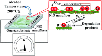 Graphical abstract: Synthesis and characterisation of nickel oxide nanofibre webs with alcohol sensing characteristics