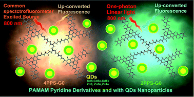 Graphical abstract: Up-converted fluorescence emission under linear common spectrofluorometer from PAMAM pyridine derivatives and with QDs nanoparticles