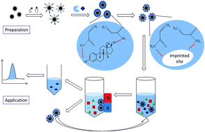 Graphical abstract: One-pot synthesis of magnetic molecularly imprinted microspheres by RAFT precipitation polymerization for the fast and selective removal of 17β-estradiol